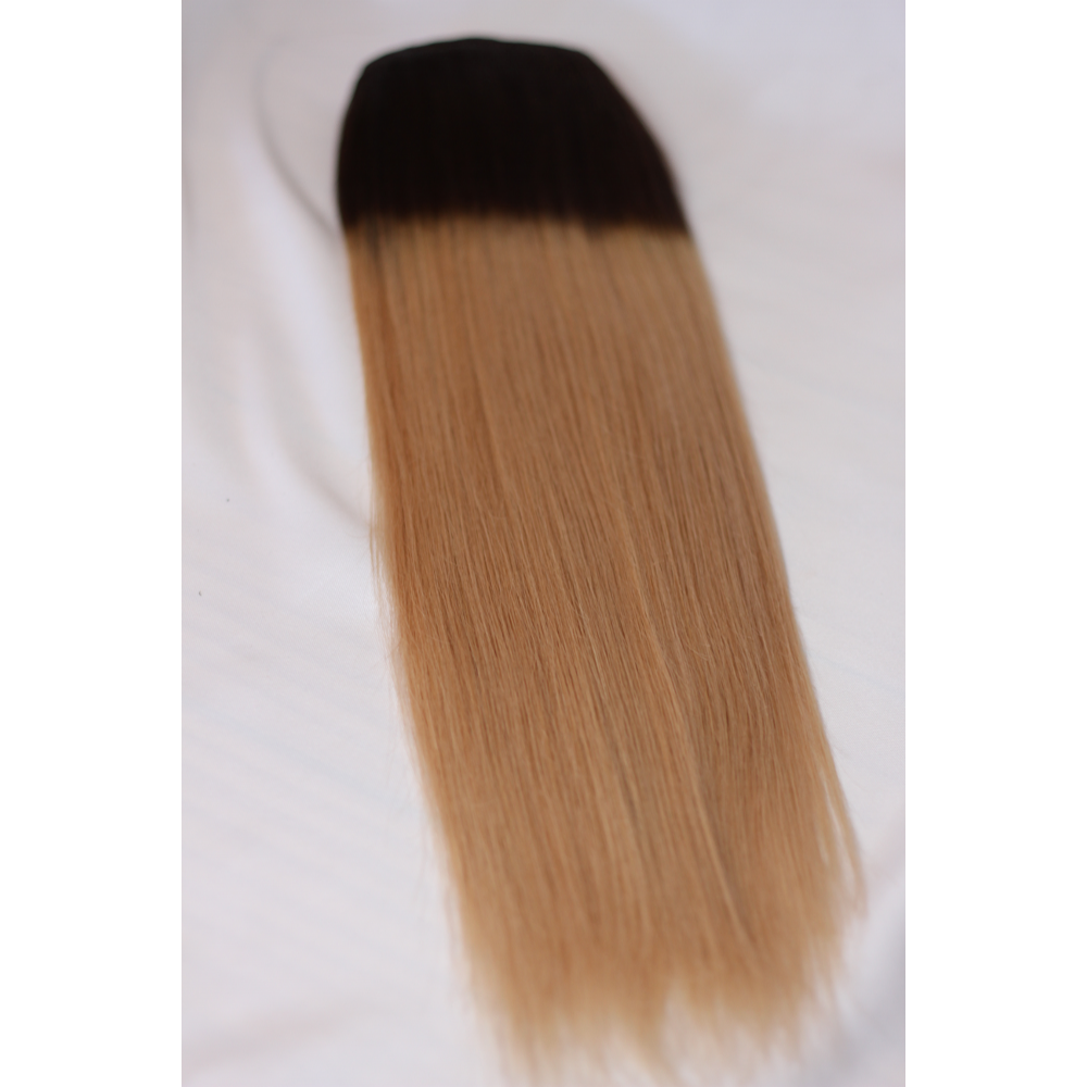 Ombre Dark Brown To Caramel Blonde 2 18